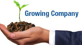 Ten Commandments for Building a Growing Company