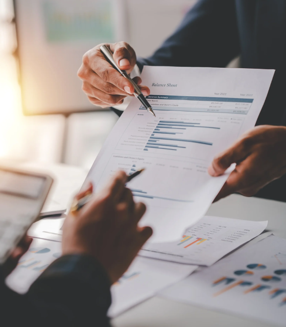 Expert Business-Finance Management-Strategies